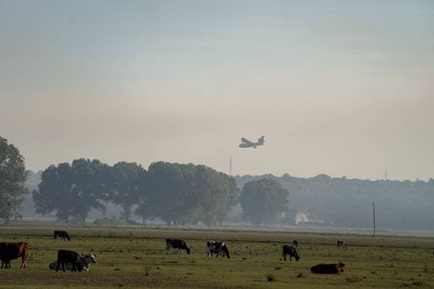 14.08.2026 - Europa, Kroatien, Ninski Stanovi: Großflächiger Vegetationsbrand zwischen Ninski Stanovi und Å½erava in der Gespanschaft Zadar. Zahlreiche Feuerwehrkräfte kämpfen gegen die Flammen. Ein Air Tractor und zwei Canadair sind zur Unterstützung der Löscharbeiten aus der Luft unterwegs. Starker Wind erschwert den Einsatz und begünstigt die Ausbreitung des Feuers. 14.08.2026 - Europa, Hrvatska, Ninski Stanovi: Veliki poÅ¾ar otvorenog prostora izmeÄ‘u Ninskih Stanova i Å½erave u Zadarskoj Å¾upaniji. Brojne vatrogasne snage bore se s vatrom. Air Tractor i Canadair upuÄ‡eni su na poÅ¾ariÅ¡te kako bi pomogli u gaÅ¡enju iz zraka. Jak vjetar oteÅ¾ava gaÅ¡enje i pogoduje Å¡irenju poÅ¾ara. Copyright: xLUKAxKOLANOVICx