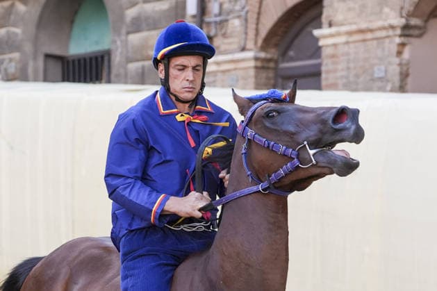 Costumed rehearsal the day before the August 2026 Palio di Siena Siena, Piazza del Campo August 15, 2026. The morning trial took place earlier today, featuring jockeys wearing the colors of the ten *Contrade* that will participate in the race on August 16. Siena Piazza Del Campo Toscana ITALIA Copyright: xSALVATORExDExROSAxSalvatorexDexRosax DSC01056