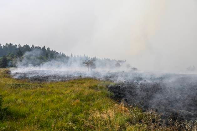 Fire in the Belgian High Fens JALHAY, BELGIUM - AUGUST 15 : An important fire has broken out in the Belgian High Fens on August 15, 2026 in Jalhay, Belgium, 15 08 2026 Jalhay Belgium  Copyright: xDhax