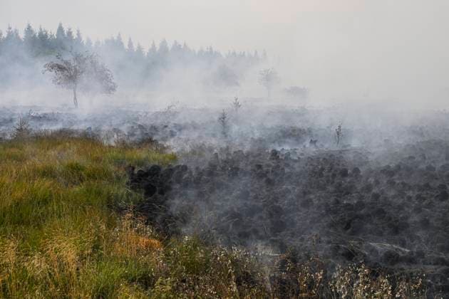 Fire in the Belgian High Fens JALHAY, BELGIUM - AUGUST 15 : An important fire has broken out in the Belgian High Fens on August 15, 2026 in Jalhay, Belgium, 15 08 2026 Jalhay Belgium  Copyright: xDhax