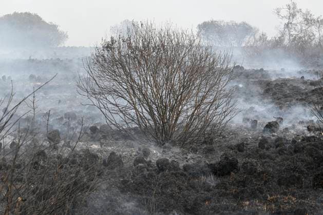 Fire in the Belgian High Fens JALHAY, BELGIUM - AUGUST 15 : An important fire has broken out in the Belgian High Fens on August 15, 2026 in Jalhay, Belgium, 15 08 2026 Jalhay Belgium  Copyright: xDhax