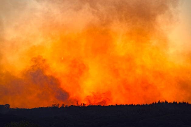 News Bilder des Tages Waldbrand Deutschland NRW 15.08.2026, Germany, Nordrhein- Westfahlen, Hürtgenwald, Düren, Klima , Sommer, Hitze, Brand, Waldbrand Seit 3 Tagen bedroht auf einer Fläche von 7 ha ein immer wieder aufflmmender Waldbrand 6 Gemeinden mit 11 000 Einwohnern, hier das Feuer von Hürtgenwald über dem Horizint, Die Rauchwolken bedecken das komplette Dürener und Zülpicher Becken. Das alles 7 km Luftlinie vom Braunkohle Tagebau Inden. Â Hürtgenwald Nordrhein-Westfahlen Germany