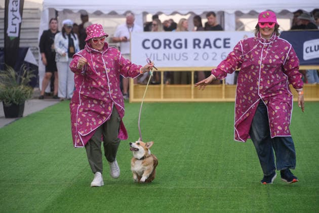 Corgi Race in Vilnius VILNIUS, LITHUANIA - AUGUST 15: Corgis and their owners gather at Vingis Park in Vilnius, Lithuania, on August 15, 2026, during the fifth annual Corgi Race Vilnius. Around 130 corgis from eight countries across Europe and the United States took part in the fifth annual Corgi Race Vilnius on Saturday, drawing thousands of spectators to Vingis Park as the Lithuanian capital again billed itself the European Corgi Capital . The event, which began during the pandemic as a friendly bet between two owners, now features sprint heats, a costume parade, a loudest-bark contest and new agility and run-return races. U.S. owners took first and second place in the main race, highlighting the growing international appeal of the fes Copyright: x2026xAnadoluxYauhenxYerchakx