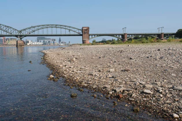 Eine weitwinklige Totalansicht zeigt den stark zurückgewichenen Flusslauf des Rheins mit einem weitläufig ausgetrockneten Kiesel- und Steinufer bei extremem sommerlichem Niedrigwasser. Die historische, stählerne Südbrücke überspannt den Fluss mit ihren charakteristischen Fachwerkbögen und dem markanten Wehrturm aus rotem Backstein. Im Hintergrund spiegelt sich das gegenüberliegende Rheinufer mit der Kölner Skyline, den Kranhäusern im Rheinauhafen und den entfernten Türmen des Kölner Doms unter einem wolkenlosen, blauen Himmel.