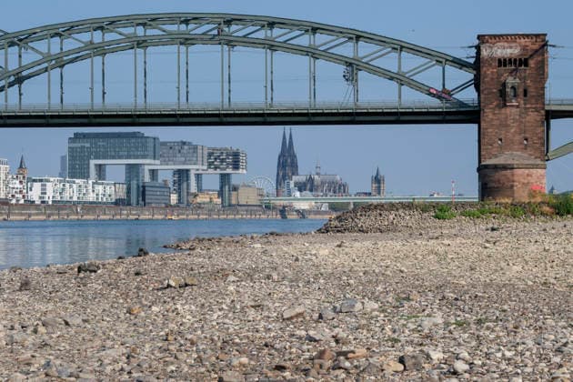Eine weitwinklige Totalansicht zeigt den stark zurückgewichenen Flusslauf des Rheins mit einem weitläufig ausgetrockneten Kiesel- und Steinufer bei extremem sommerlichem Niedrigwasser. Die historische, stählerne Südbrücke überspannt den Fluss mit ihren charakteristischen Fachwerkbögen und dem markanten Wehrturm aus rotem Backstein. Im Hintergrund spiegelt sich das gegenüberliegende Rheinufer mit der Kölner Skyline, den Kranhäusern im Rheinauhafen und den entfernten Türmen des Kölner Doms unter einem wolkenlosen, blauen Himmel.