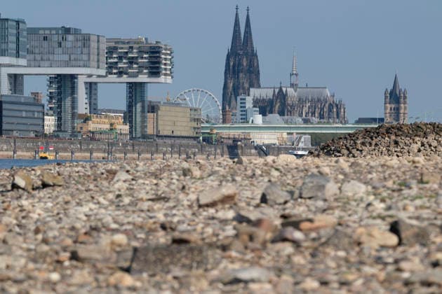 Eine Teleaufnahme zeigt die markante Kölner Stadtkulisse mit den modernen Kranhäusern im Rheinauhafen und den gotischen Türmen des Kölner Doms im Hintergrund. Im unscharfen Vordergrund erstreckt sich das weitläufige, freigelegte Kiesel- und Steinufer des Rheins, das die Auswirkungen von extremem sommerlichem Niedrigwasser dokumentiert.