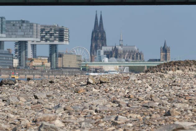 Eine Teleaufnahme zeigt die markante Kölner Stadtkulisse mit den modernen Kranhäusern im Rheinauhafen und den gotischen Türmen des Kölner Doms im Hintergrund. Im Vordergrund erstreckt sich das weitläufige, freigelegte Kiesel- und Steinufer des Rheins, das die Auswirkungen von extremem sommerlichem Niedrigwasser dokumentiert.