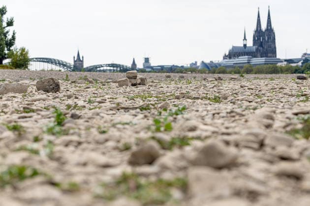 Historischer Niedrigwasser-Rekord am Rhein Freiliegendes Flussbett am Deutzer Rheinufer - 16.08.26 Blick vom Deutzer Rheinufer Richtung Kölner Dom auf das durch historisches Niedrigwasser freiliegende Flussbett des Rheins. Der Pegel Köln erreicht einen Tiefstand von 46 cm und unterbietet damit den bisherigen Rekord von 69 cm aus dem Jahr 2018 deutlich. Die Rheinschifffahrt ist durch das extrem niedrige Wasser praktisch zum Erliegen gekommen. Köln Deutz Nordrhein-Westfalen Deutschland Copyright: xMarcxJohnx