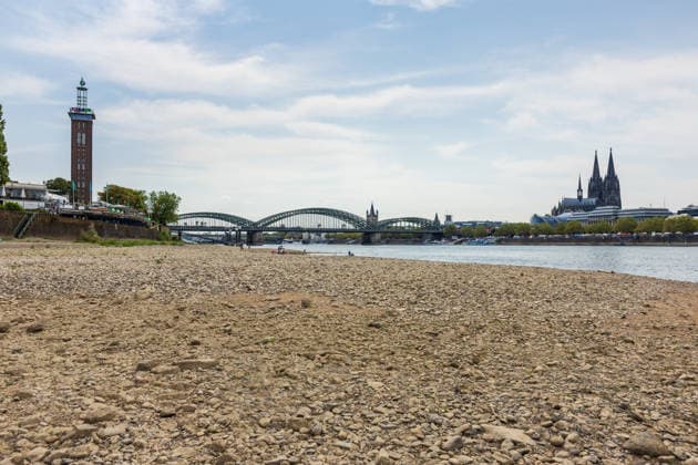 Historischer Niedrigwasser-Rekord am Rhein Freiliegendes Flussbett am Deutzer Rheinufer - 16.08.26 Blick vom Deutzer Rheinufer Richtung Kölner Dom auf das durch historisches Niedrigwasser freiliegende Flussbett des Rheins. Der Pegel Köln erreicht einen Tiefstand von 46 cm und unterbietet damit den bisherigen Rekord von 69 cm aus dem Jahr 2018 deutlich. Die Rheinschifffahrt ist durch das extrem niedrige Wasser praktisch zum Erliegen gekommen. Köln Deutz Nordrhein-Westfalen Deutschland Copyright: xMarcxJohnx