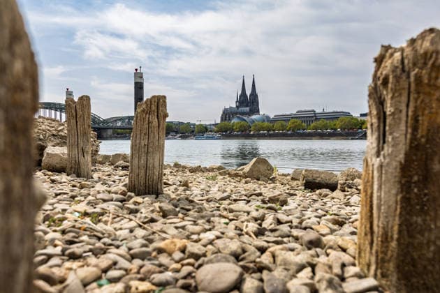 Historischer Niedrigwasser-Rekord am Rhein Freigelegte Pfähle der Patton-Brücke am Deutzer Rheinufer - 16.08.26 Blick auf die bei historischem Niedrigwasser freigelegten Holzpfähle der ehemaligen Patton-Brücke am Deutzer Rheinufer in Höhe des Tanzbrunnens. Die 1946 errichtete Behelfsbrücke wurde 1951 abgerissen, die Holzpfähle blieben im Flussbett zurück und werden bei niedrigem Wasserstand sichtbar. Der Pegel Köln erreicht aktuell einen historischen Tiefstand von 46 cm. Köln Tanzbrunnen Nordrhein-Westfalen Deutschland Copyright: xMarcxJohnx