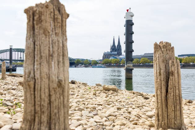 Historischer Niedrigwasser-Rekord am Rhein Freigelegte Pfähle der Patton-Brücke am Deutzer Rheinufer - 16.08.26 Blick auf die bei historischem Niedrigwasser freigelegten Holzpfähle der ehemaligen Patton-Brücke am Deutzer Rheinufer in Höhe des Tanzbrunnens. Die 1946 errichtete Behelfsbrücke wurde 1951 abgerissen, die Holzpfähle blieben im Flussbett zurück und werden bei niedrigem Wasserstand sichtbar. Der Pegel Köln erreicht aktuell einen historischen Tiefstand von 46 cm. Köln Tanzbrunnen Nordrhein-Westfalen Deutschland Copyright: xMarcxJohnx
