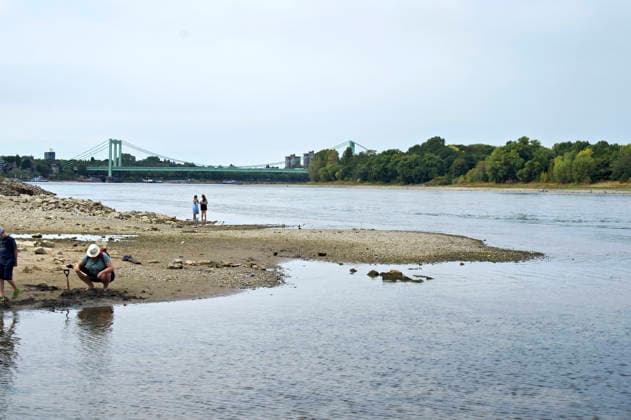 Der Rhein ist in Köln so niedrig wie noch nie. In der Nacht zu Sonntag fiel der Pegel auf nur 45 Zentimeter und damit deutlich unter den bisherigen Tiefststand. Für die Schifffahrt wird das zunehmend zum Problem. Köln, 16.08.2026