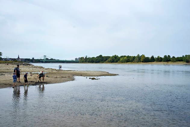 Der Rhein ist in Köln so niedrig wie noch nie. In der Nacht zu Sonntag fiel der Pegel auf nur 45 Zentimeter und damit deutlich unter den bisherigen Tiefststand. Für die Schifffahrt wird das zunehmend zum Problem. Köln, 16.08.2026
