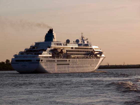 MS Amadea Das 1991 gebaute Kreuzfahrtschiff Amadea fährt auf der Elbe bei Wedel in den Sonnenuntergang (License=RM) Copyright: xZoonar.com GunnarxRiesx 882045