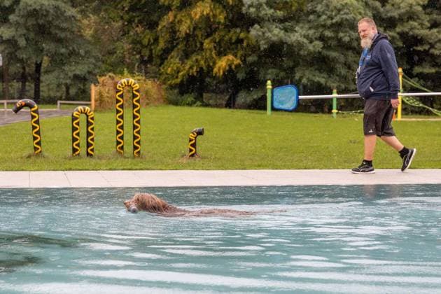 Hundeschwimmen im Freibad Werne ** NUR FÜR REDAKTIONELLE ZWECKE ** EDITORIAL USE ONLY **<p>Am Sonntag, den 13. September 2026 öffnete das Freibad Werne der Wasserwelten Bochum die Tore für das Hundeschwimmen. Deutschland NRW Bochum Copyright: MichaelxSchwalm