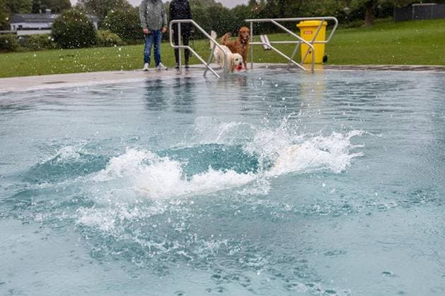 Hundeschwimmen im Freibad Werne ** NUR FÜR REDAKTIONELLE ZWECKE ** EDITORIAL USE ONLY **<p>Am Sonntag, den 13. September 2026 öffnete das Freibad Werne der Wasserwelten Bochum die Tore für das Hundeschwimmen. Deutschland NRW Bochum Copyright: MichaelxSchwalm