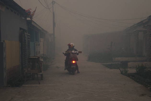 Wildfires fueled by El Nino affect Indonesia PALEMBANG, INDONESIA - SEPTEMBER 16: A motorist rides through the smoke as wildfire breaks out near their house in Sematang Borang district of Palembang, South Sumatra, Indonesia, on September 16, 2026. El Nino conditions are fueling wildfires across Indonesia, with around 113,336 cases of respiratory illness reported, according to health officials. Children under the age of 5 account for 26,545 cases, more than 20% of all recorded acute respiratory infection cases. Around 12.5 million people have been affected by wildfires, according to data from the Indonesian Health Ministry. Muhammad Fajri Anadolu Palembang Indonesia. Editorial use only. Please get in touch for any other usage. Copyright: x2026xAnadoluxMuhammadxFajrix
