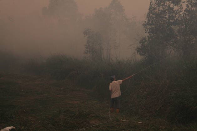 Wildfires fueled by El Nino affect Indonesia PALEMBANG, INDONESIA - SEPTEMBER 16: A man tries to extinguish a wildfire near his home in Sematang Borang district of Palembang, South Sumatra, Indonesia, on September 16, 2026. El Nino conditions are fueling wildfires across Indonesia, with around 113,336 cases of respiratory illness reported, according to health officials. Children under the age of 5 account for 26,545 cases, more than 20% of all recorded acute respiratory infection cases. Around 12.5 million people have been affected by wildfires, according to data from the Indonesian Health Ministry. Muhammad Fajri Anadolu Palembang Indonesia. Editorial use only. Please get in touch for any other usage. Copyright: x2026xAnadoluxMuhammadxFajrix