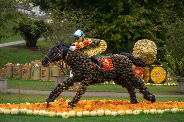 Eine aus Kürbissen gestaltete Abbildung eines Reiters ist während der Kürbisausstellung im Blühenden Barock Ludwigsburg zu sehen. Ludwigsburg Baden-Württemberg Deutschland