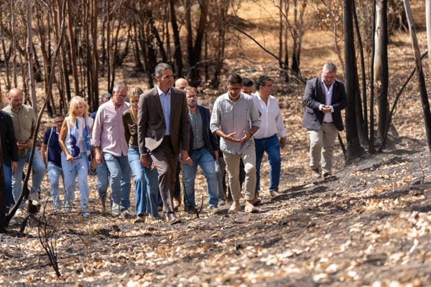 Pedro Sánchez Meets in Niebla with the Mayors of the Municipalities Affected by the Fire. Prime Minister Pedro Sánchez 1i visits the area devastated by this summer’s fire. September 17, 20226, in Niebla, Huelva, Andalusia, Spain. On Thursday, Spanish Prime Minister Pedro Sánchez called for action to address the causes of the Niebla fire—the largest in the country’s history—which, in his view, starkly revealed the consequences of a climate emergency, and for that reason, he has called for building, through a public-private partnership, a stronger and more prosperous country. SEPTEMBER 17, 2026 Francisco J Niebla, Huelva, Andalusia, Spain Niebla, Huelva, Andalusia, Spain Spain Copyright: xFranciscoxJ.xOlmox 7781609