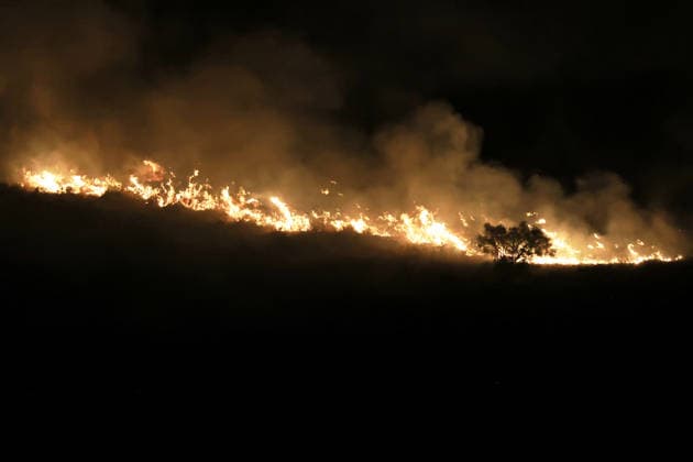 IPA88637764 - The photo shows a massive wildfire raging on Mount Biliemi in Partinico and in the Camporeale area  Copyright: xAlbertoxLoxBiancox xAlbertoxLoxBiancox IPA88637764
