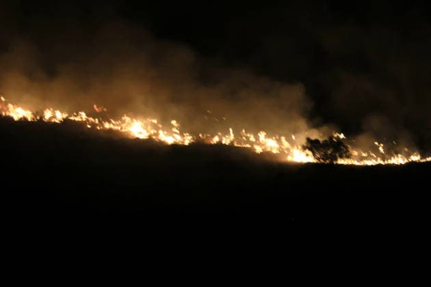 IPA88637767 - The photo shows a massive wildfire raging on Mount Biliemi in Partinico and in the Camporeale area  Copyright: xAlbertoxLoxBiancox xAlbertoxLoxBiancox IPA88637767