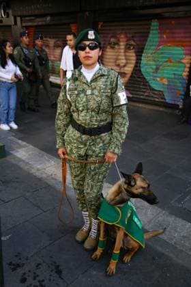 September 16, 2026: TO-45145- Mexico City, September 15, 2026: Personnel from the Secretariat of the Navy, the Military College, the Mexican Air Force, and the National Guard prepare for the civic-military parade marking the anniversary of Mexico& 039;s Independence, on the streets surrounding Mexico City& 039;s Z& xf3;calo. Photo: Ian Robles .com.mx - ZUMAcs4_ 20260916_faa_cs4_130 Copyright: xClasosx