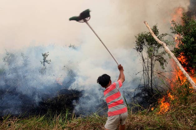 Wildfires continue to spread in Indonesia s South Sumatra PALEMBANG, INDONESIA - SEPTEMBER 19: A boy tries to extinguish wildfires near his house at Talang Jambe district in Palembang, South Sumatera, Indonesia on September 19, 2026. The area affected by wildfires in South Sumatra has now become the largest in Indonesia. The Indonesian government has stepped up firefighting efforts by deploying more than 50 aircraft to water bombing on fires and conducting weather modification operations to induce rain. Japan also sent three CH-47 Chinook helicopters and 180 personnel last week to assist with firefighting. Muhammad Fajri Anadolu Palembang Indonesia. Editorial use only. Please get in touch for any other usage.  Copyright: x2026xAnadoluxMuhammadxFajrix