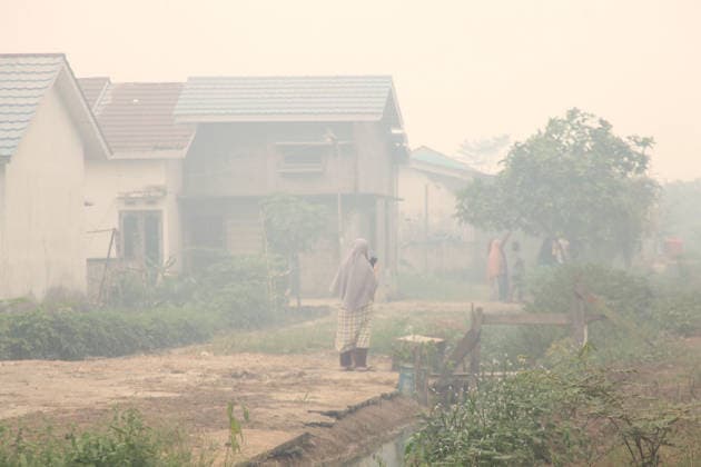 Wildfires continue to spread in Indonesia s South Sumatra PALEMBANG, INDONESIA - SEPTEMBER 16: A woman stands in front of her house through the smoke as wildfire breaks out near their house in Palembang, South Sumatera, Indonesia on September 19, 2026. The area affected by wildfires in South Sumatra has now become the largest in Indonesia. The Indonesian government has stepped up firefighting efforts by deploying more than 50 aircraft to water bombing on fires and conducting weather modification operations to induce rain. Japan also sent three CH-47 Chinook helicopters and 180 personnel last week to assist with firefighting. Muhammad Fajri Anadolu Palembang Indonesia. Editorial use only. Please get in touch for any other usage.  Copyright: x2026xAnadoluxMuhammadxFajrix
