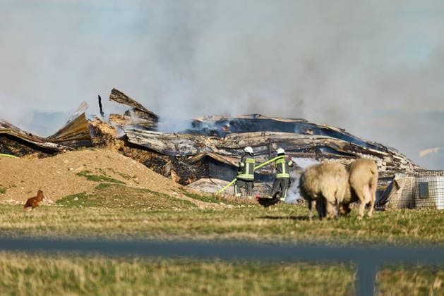 Brand auf Hofgelände bei Grosselfingen Hühner getötet, Eine große schwarze Rauchsäule ist bei einem Brand auf einem Aussiedlerhof an der K 7164 Hinter dem Weiher bei Grosselfingen weithin sichtbar. Nach ersten Informationen der Polizei kamen bei dem Feuer Hühner ums Leben. Über das Schicksal weiterer Tiere sowie mögliche Verletzte unter den Menschen liegen zunächst keine Informationen vor. Grosselfingen Baden-Württemberg Deutschland Grosselfingen