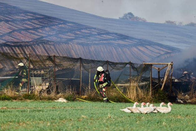 Brand auf Hofgelände bei Grosselfingen Hühner getötet, Eine große schwarze Rauchsäule ist bei einem Brand auf einem Aussiedlerhof an der K 7164 Hinter dem Weiher bei Grosselfingen weithin sichtbar. Nach ersten Informationen der Polizei kamen bei dem Feuer Hühner ums Leben. Über das Schicksal weiterer Tiere sowie mögliche Verletzte unter den Menschen liegen zunächst keine Informationen vor. Grosselfingen Baden-Württemberg Deutschland Grosselfingen