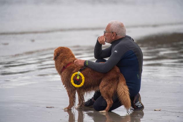 French Rescue Dog Championship Marc ROLLMANN MAXPPP September 20, 2026 In Bréhec, in the Côtes d’Armor, the Chiens d’eau du Goëlo are hosting the French Water Rescue Championship. Fifteen dog-handler teams, having qualified for the finals, are competing in three obedience and rescue events, both on land and at sea. Ship towing, retrieving a drowning victim from the waves, and battling the current—all put the dog’s strength, obedience, and, above all, the bond between dog and handler to the test. Facing the elements, they are all driven by the same motivation: to save lives and serve others. Bréhec, France, September 20, 2026. In Bréhec, Côtes d’Armor, the Goëlo Water Dogs are hosting the French Water Rescue Championship. Fifteen handler-do Copyright: xMAXPPPxMarcxROLLMANNx MRL202609202367 MRL202609202352