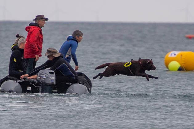 French Rescue Dog Championship Marc ROLLMANN MAXPPP September 20, 2026 In Bréhec, in the Côtes d’Armor, the Chiens d’eau du Goëlo are hosting the French Water Rescue Championship. Fifteen dog-handler teams, having qualified for the finals, are competing in three obedience and rescue events, both on land and at sea. Ship towing, retrieving a drowning victim from the waves, and battling the current—all put the dog’s strength, obedience, and, above all, the bond between dog and handler to the test. Facing the elements, they are all driven by the same motivation: to save lives and serve others. Bréhec, France, September 20, 2026. In Bréhec, Côtes d’Armor, the Goëlo Water Dogs are hosting the French Water Rescue Championship. Fifteen handler-do Copyright: xMAXPPPxMarcxROLLMANNx MRL202609202367 MRL202609202354