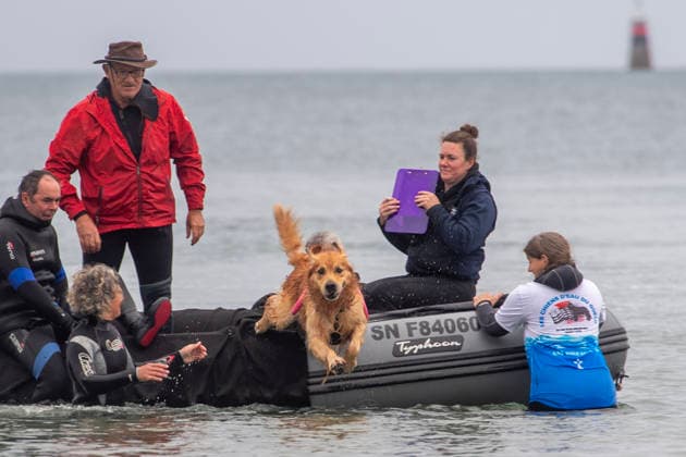 French Rescue Dog Championship Marc ROLLMANN MAXPPP September 20, 2026 In Bréhec, in the Côtes d’Armor, the Chiens d’eau du Goëlo are hosting the French Water Rescue Championship. Fifteen dog-handler teams, having qualified for the finals, are competing in three obedience and rescue events, both on land and at sea. Ship towing, retrieving a drowning victim from the waves, and battling the current—all put the dog’s strength, obedience, and, above all, the bond between dog and handler to the test. Facing the elements, they are all driven by the same motivation: to save lives and serve others. Bréhec, France, September 20, 2026. In Bréhec, Côtes d’Armor, the Goëlo Water Dogs are hosting the French Water Rescue Championship. Fifteen handler-do Copyright: xMAXPPPxMarcxROLLMANNx MRL202609202367 MRL202609202361