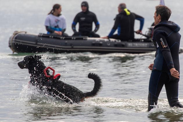 French Rescue Dog Championship Marc ROLLMANN MAXPPP September 20, 2026 In Bréhec, in the Côtes d’Armor, the Chiens d’eau du Goëlo are hosting the French Water Rescue Championship. Fifteen dog-handler teams, having qualified for the finals, are competing in three obedience and rescue events, both on land and at sea. Ship towing, retrieving a drowning victim from the waves, and battling the current put the dog’s strength, obedience, and—above all—the bond between dog and handler to the test. Facing the elements, they are all driven by the same motivation: to save lives and serve others. Bréhec, France, September 20, 2026. In Bréhec, Côtes d’Armor, the Goëlo Water Dogs are hosting the French Water Rescue Championship. Fifteen dog-handler team Copyright: xMAXPPPxMarcxROLLMANNx MRL202609202367 MRL202609202378