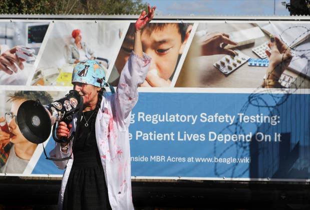 Animal Activists Protest Outside MBR Acres To Commemorate 50 Years of The Animal Liberation Front - 20 Sep 2026 An activist wears a Labcorp lab coat , one of the destinations of MBR beagles, and is covered in fake blood while shouting her message at the front gate during the demonstration. Animal activists protest outside MBR Acres at Camp Beagle to Commemorate 50 years of The Animal Liberation Front (ALF). They gathered outside puppy breeding facility, MBR Acres that breed dogs for the vivisection industry. The protest Camp Beagle has had a permanent presence outside MBR Acres for five years. They say are staying until MBR Acres shuts down and the puppies are re-homed. Huntingdon United Kingdom Copyright: xMartinxPopex xSOPAxImagesx MPOPE_A736836