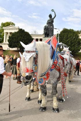 Pferde Wiesn 2026 SixtWiesn 3. Tag Theresienwiese Festzelt Schützenfesthalle Oktoberfest München 21. Sept. 2026