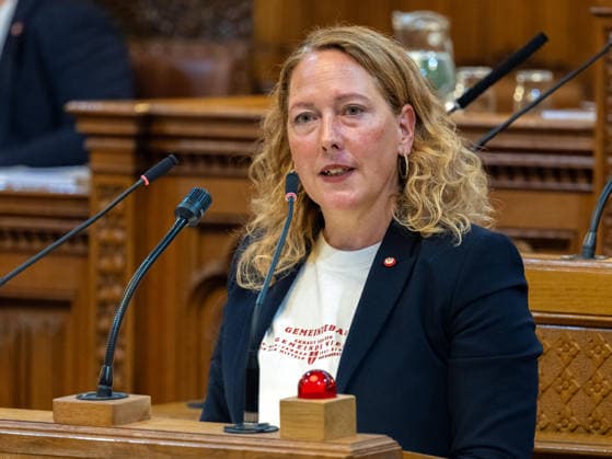 2026-09-21-Wiener Gemeinderat-125 Abgeordnete zum Wiener Landtag und Gemeinderate Judith Pühringer (GRÜNE) am 21. September 2026 beim Wiener Gemeinderat der 17ten Sitzung auf Verlangen FPÖ im Rathaus in Wien, Wien, Österreich.