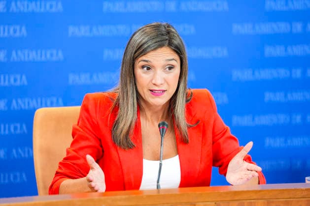 Press conference by spokespersons for the parliamentary groups in the Andalusian Parliament. The spokesperson for the Socialist Parliamentary Group, María Máquez, during the press conference round featuring spokespeople from the parliamentary groups at the Andalusian Parliament September 23, 2026, in Seville, Andalusia, Spain The spokespeople for the parliamentary groups gather in the press room to address the media on a regular basis September 23, 2026 Joaquí Seville Andalusia Seville Andalusia Spain  Copyright: xJoaquinxCorcherox 7793473