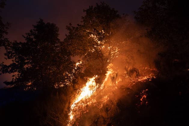Level 2 alert declared for the Calvos de Randín fire in Ourense due to its proximity to the town of As Meaus, with 140 hectares destroyed. View of the fire on September 24, 2026, in Calvos de Randín, Ourense, Galicia, Spain. The Regional Ministry of Rural Affairs has declared a Level 2 emergency for the fire in Calvos de Randín, Ourense, as a preventive measure due to the fire’s proximity to the village of As Meaus, in the neighboring municipality of Baltar. The out-of-control fire has scorched 140 hectares. The fire broke out at 1:36 p.m. this Thursday, and firefighting efforts are underway, including, among others, eight helicopters and nine airplanes. SEPTEMBER 24, 2026 FIRE NATURAL DISASTER FIREFIGHTERS FLAME FLAME SPLASH Adriá Calvos Copyright: xAdrianxIragox 7797850