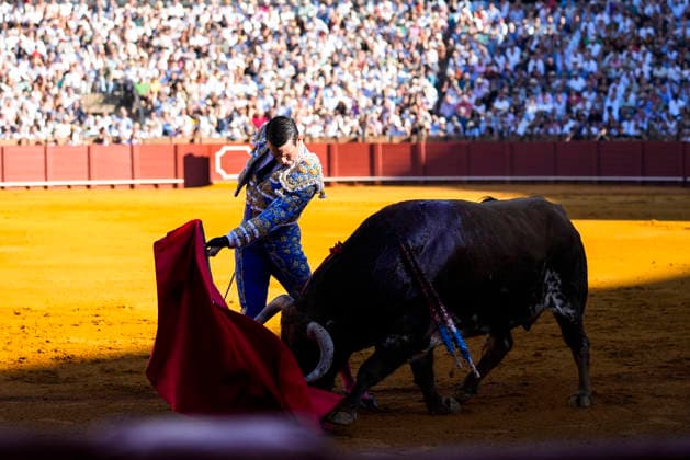 Second Subscription Bullfight of the San Miguel Fair in Seville: José María Manzanares during the second subscription bullfight of the San Miguel Fair at the Real Maestranza de Caballería on September 25, 2026, in Seville, Andalusia, Spain José María Manzanares, Alejandro Talavante, and Juan Ortega fought bulls from Puerto de San Lorenzo and Ventana de San Lorenzo during the first subscription bullfight of the San Miguel Fair on September 25, 2026, in Seville, Andalusia, Spain  Copyright: xJoaquinxCorcherox 7800426