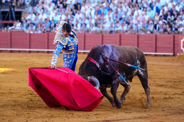 Second Subscription Bullfight of the San Miguel Fair in Seville: José María Manzanares during the second subscription bullfight of the San Miguel Fair at the Real Maestranza de Caballería on September 25, 2026, in Seville, Andalusia, Spain José María Manzanares, Alejandro Talavante, and Juan Ortega fought bulls from Puerto de San Lorenzo and Ventana de San Lorenzo during the first subscription bullfight of the San Miguel Fair on September 25, 2026, in Seville, Andalusia, Spain  Copyright: xJoaquinxCorcherox 7800431