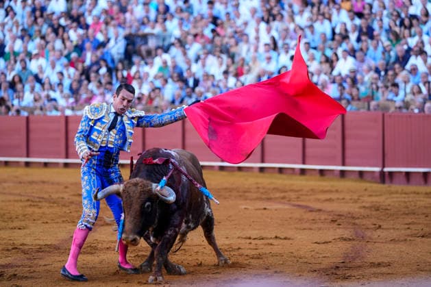 Second Subscription Bullfight of the San Miguel Fair in Seville: José María Manzanares during the second subscription bullfight of the San Miguel Fair at the Real Maestranza de Caballería on September 25, 2026, in Seville, Andalusia, Spain José María Manzanares, Alejandro Talavante, and Juan Ortega fought bulls from Puerto de San Lorenzo and Ventana de San Lorenzo during the first subscription bullfight of the San Miguel Fair on September 25, 2026, in Seville, Andalusia, Spain  Copyright: xJoaquinxCorcherox 7800435