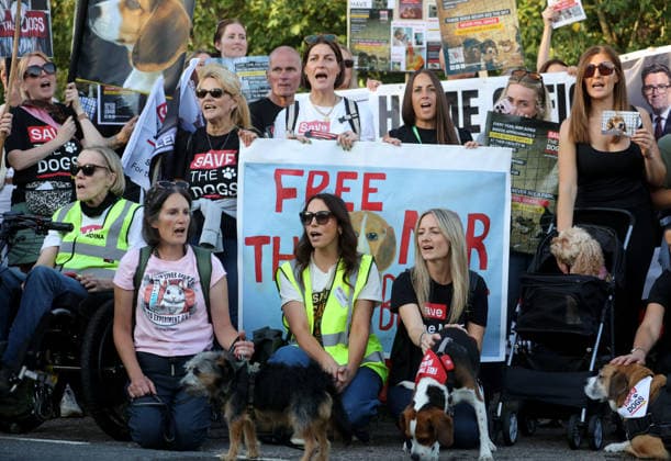 September 26, 2026, Huntingdon, United Kingdom: Animal activists protest outside the main gates of MBR Acres with placards and banners during the protest. Save The Dogs UK march to end animal testing culminating in a rally at MBR Acres in Huntingdon. The facility produces beagle puppies for the vivisection industry. The march to MBR Acres was held at the same time as a two-week march by animal activists in the USA arrived at Marshall BioResources in New York. Both sets of activists claim ™Two Countries, Two Marches. One Shared Message™ The protesters insist both Marshall BioResourses and MBR Acres are closed and demand a future beyond animal testing. Huntingdon United Kingdom - ZUMAs197 20260926_aaa_s197_445 Copyright: xMartinxPopex