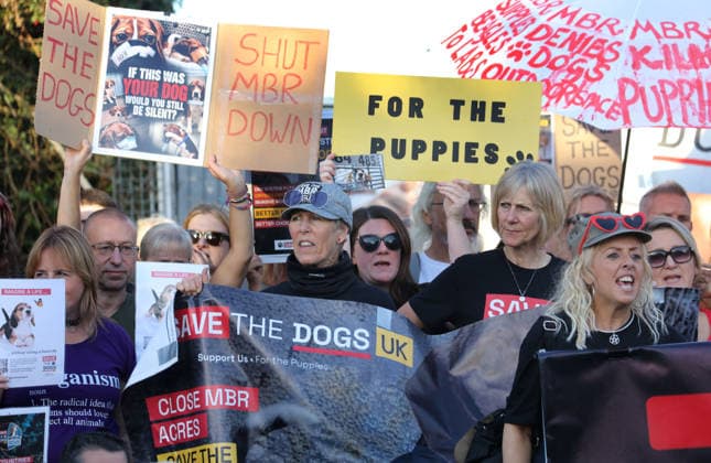 September 26, 2026, Huntingdon, United Kingdom: Animal activists protest outside the main gates of MBR Acres with placards and banners during the protest. Save The Dogs UK march to end animal testing culminating in a rally at MBR Acres in Huntingdon. The facility produces beagle puppies for the vivisection industry. The march to MBR Acres was held at the same time as a two-week march by animal activists in the USA arrived at Marshall BioResources in New York. Both sets of activists claim ™Two Countries, Two Marches. One Shared Message™ The protesters insist both Marshall BioResourses and MBR Acres are closed and demand a future beyond animal testing. Huntingdon United Kingdom - ZUMAs197 20260926_aaa_s197_449 Copyright: xMartinxPopex