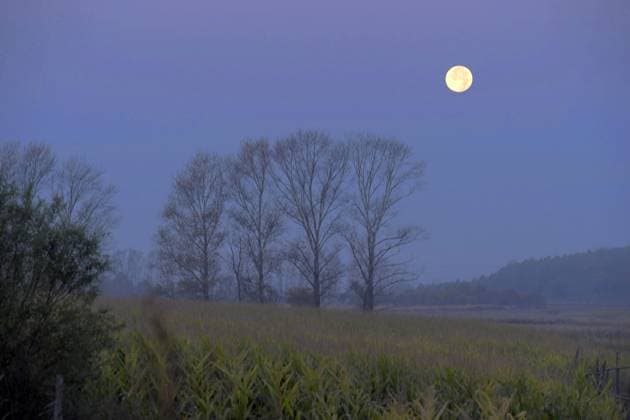 (260927) -- HARBIN, Sept. 27, 2026 -- This photo taken on Sept. 27, 2026 shows the full moon in the sky over Qiqihar, northeast China s Heilongjiang Province. (Photo by Xinhua) CHINA-HEILONGJIANG-MOON (CN) WangxYonggang 