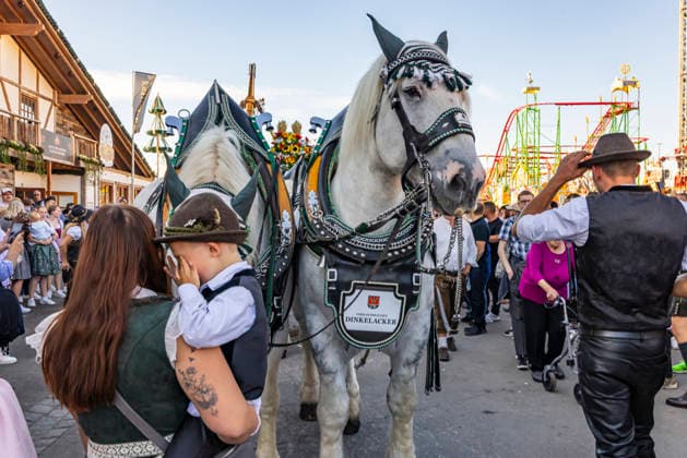 Festbetrieb auf dem Cannstatter Waden. Das Cannstatter Volksfest ist nach Angaben der Veranstalter eines der schönsten und größten Volksfeste der Welt. Bis zum 11. Oktober werden wieder rund drei Millionen Gäste erwartet. 27.09.2026, Stuttgart, Baden-Württemberg, Deutschland