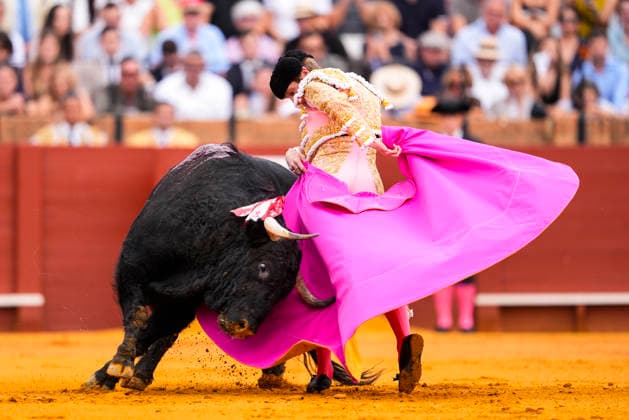Fourth Regular Bullfight of the San Miguel Fair in Seville: Borja Jiménez during the fourth regular bullfight of the San Miguel Fair at the Real Maestranza de Caballería On September 27, 2026, in Seville, Andalusia, Spain Morante de la Puebla, Daniel Luque, and Borja Jiménez fought bulls from the Garcigrande ranch during the fourth subscription bullfight of the San Miguel Fair, September 27, 2026, in Seville, Andalusia, Spain  Copyright: xJoaquinxCorcherox 7804667