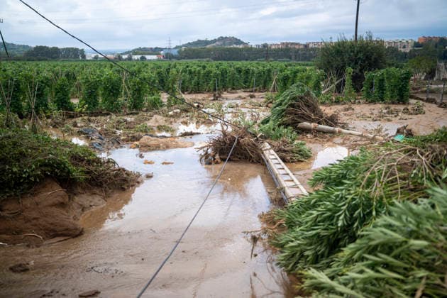 Heavy rains in Catalonia leave two dead and the Besòs River at risk of flooding; mud and standing water caused by torrential rains, October 4, 2026, in Montornès del Vallès, Barcelona, Catalonia, Spain. The storm hitting Catalonia has left two people dead in the region. The president of the Generalitat, Salvador Illa, reported the death in Tordera of a 75-year-old man, who was at a campground when a wall reportedly collapsed on him. The second victim is a person who had been reported missing and was found in Montornès del Vallès. Emergency services are searching for another missing person in Riera de Pineda de Mar. The rains and storms have put eleven autonomous communities on alert this Sunday in Spain, including a red alert with torrenti Copyright: xLorenaxSopênax 7820140