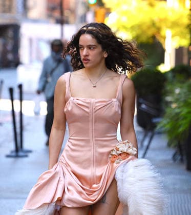 Rosalia Leaves Her Hotel - NYC Spanish Singer Rosalia with a nice pink dress leaves her hotel in New York on October 6, 2026. Photp by Dylan Travis ABACAPRESS.COM New York City NY United States  Copyright: xDylanxTravis ABACAx